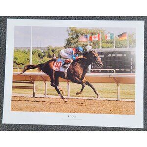 1996 Arlington Citation Challenge Cigar Horse Racing Print By Rick Buckley